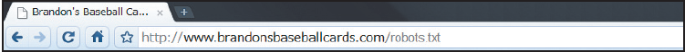 Robot.txt file