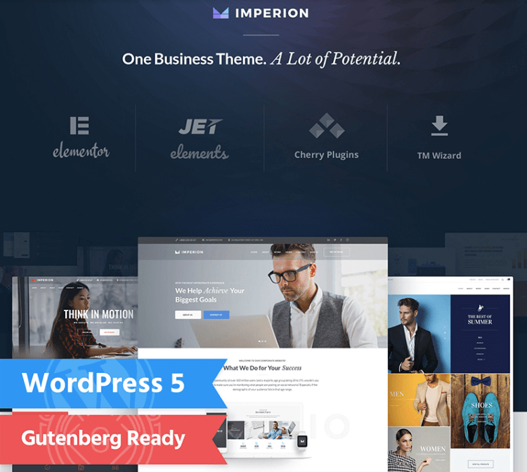 WordPress Theme