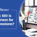 Why SEO is important for your business?