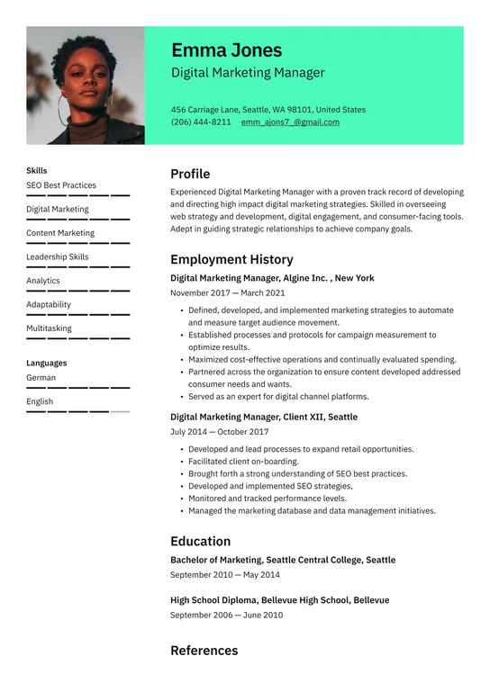Chronological Resume Format