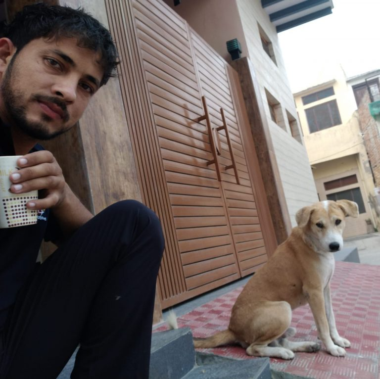 care of roadside dogs, cats and other animals