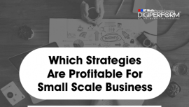 Which Strategies Are Profitable For Small Scale Business