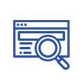 Web Research & Surveys