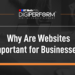 Why Are Websites Important for Businesses?