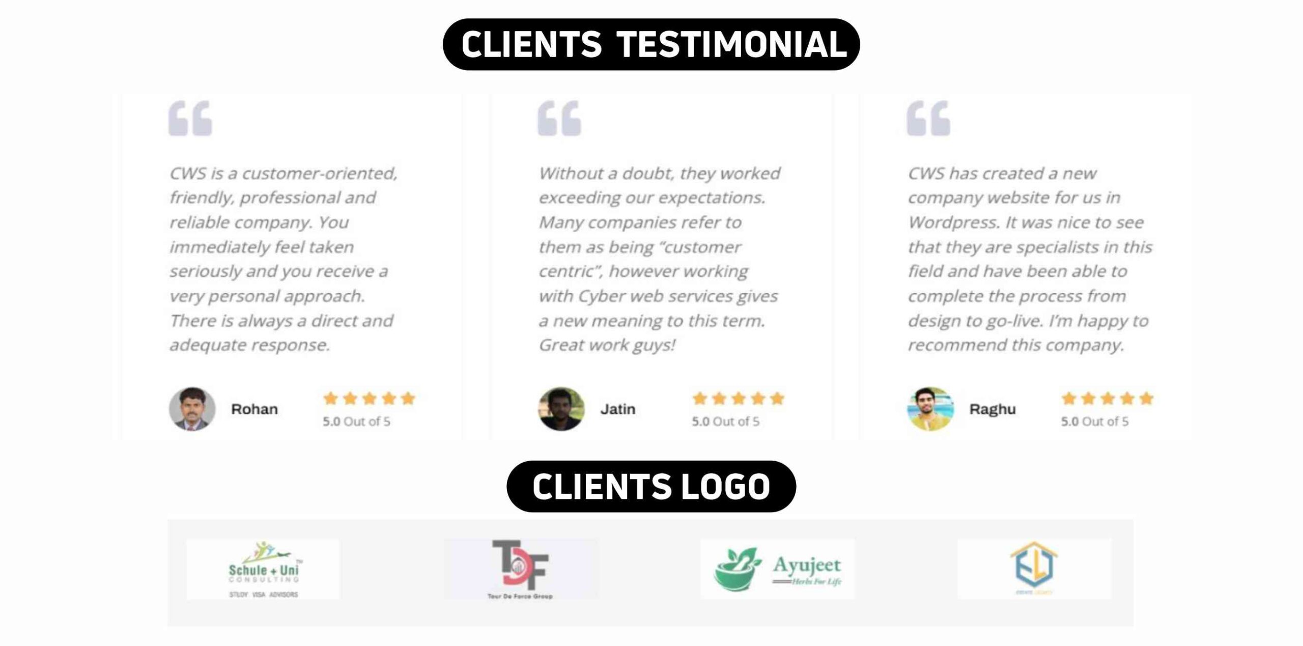 Cyber Web Services Amritsar Clients Testimonials & Logos