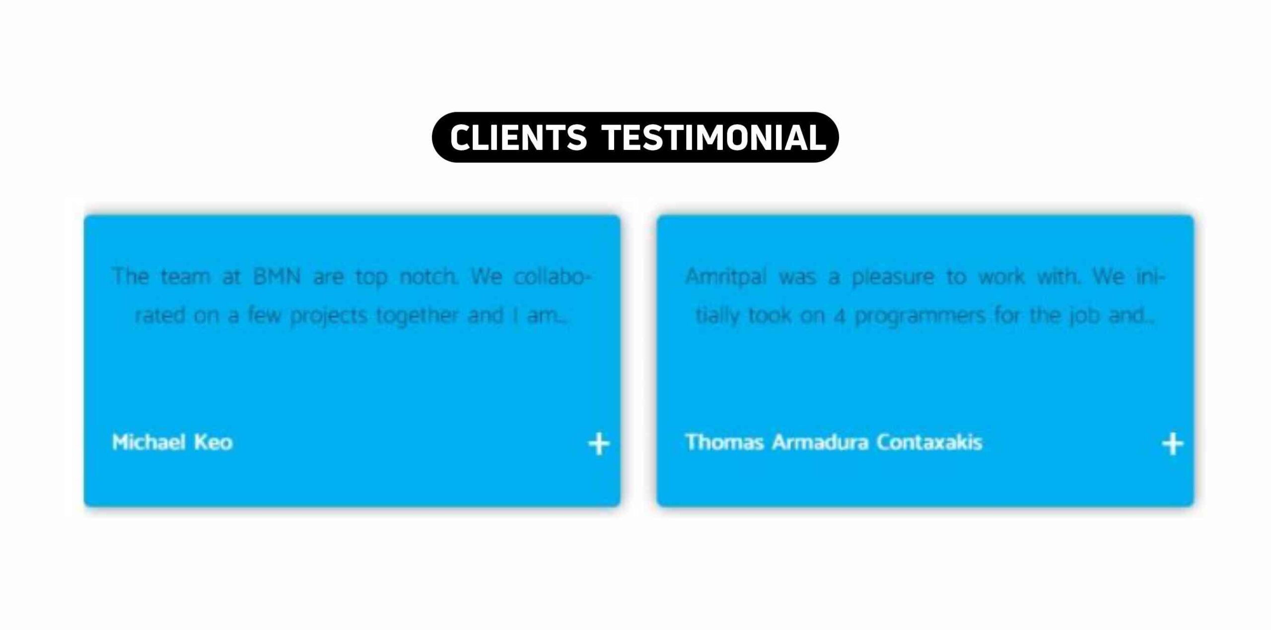 BMN Infotech Amritsar Clients Testimonial & Logo